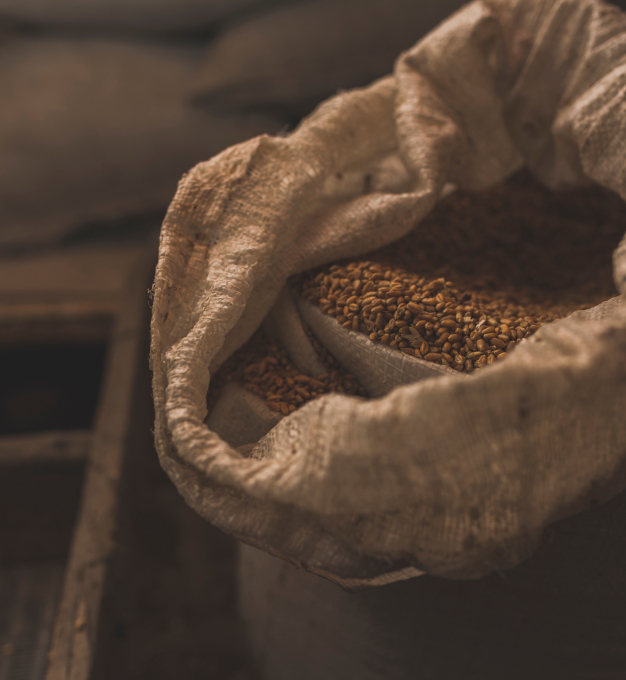 Alimentos